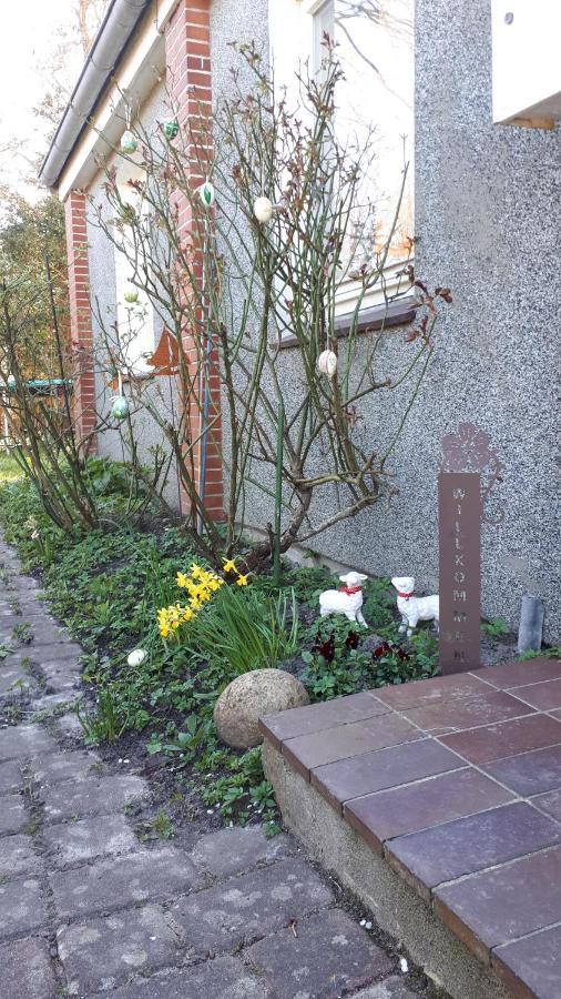 Ferienhaus In Buesumer Deichhausen - Buesum An Der Nordsee Fuer Bis Zu 9 Personen Exterior photo
